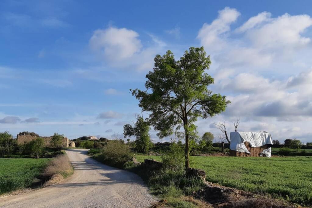 Cal Bello Casa Rural Lleida Dış mekan fotoğraf