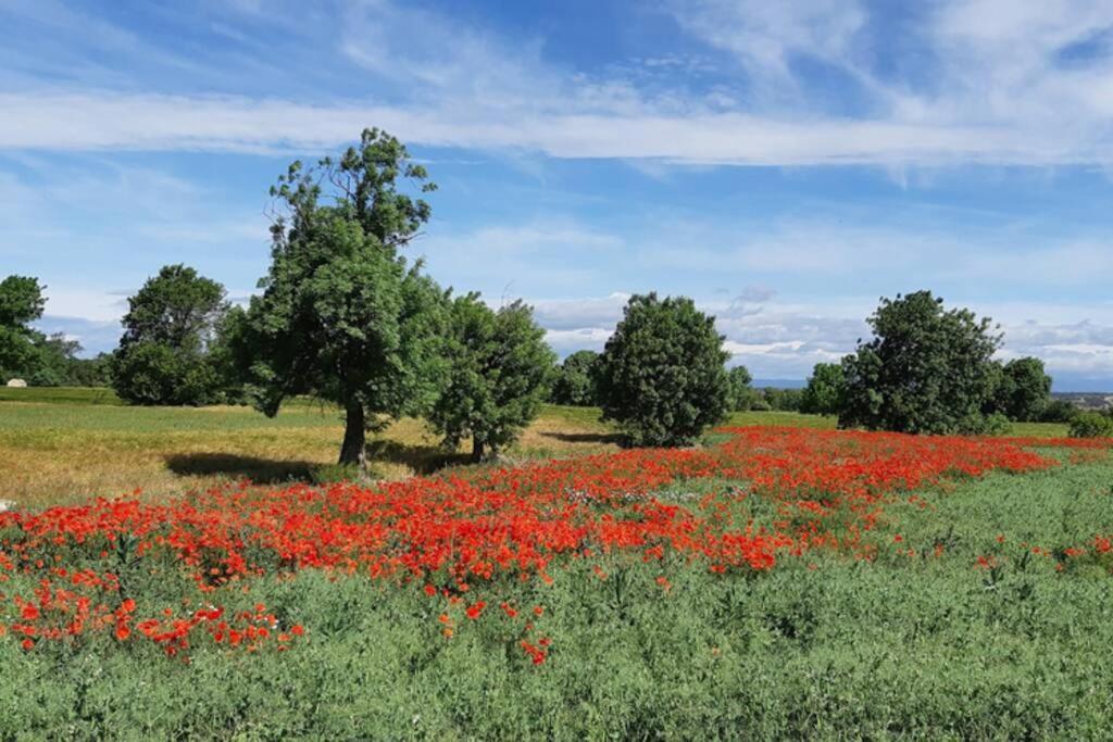 Cal Bello Casa Rural Lleida Dış mekan fotoğraf