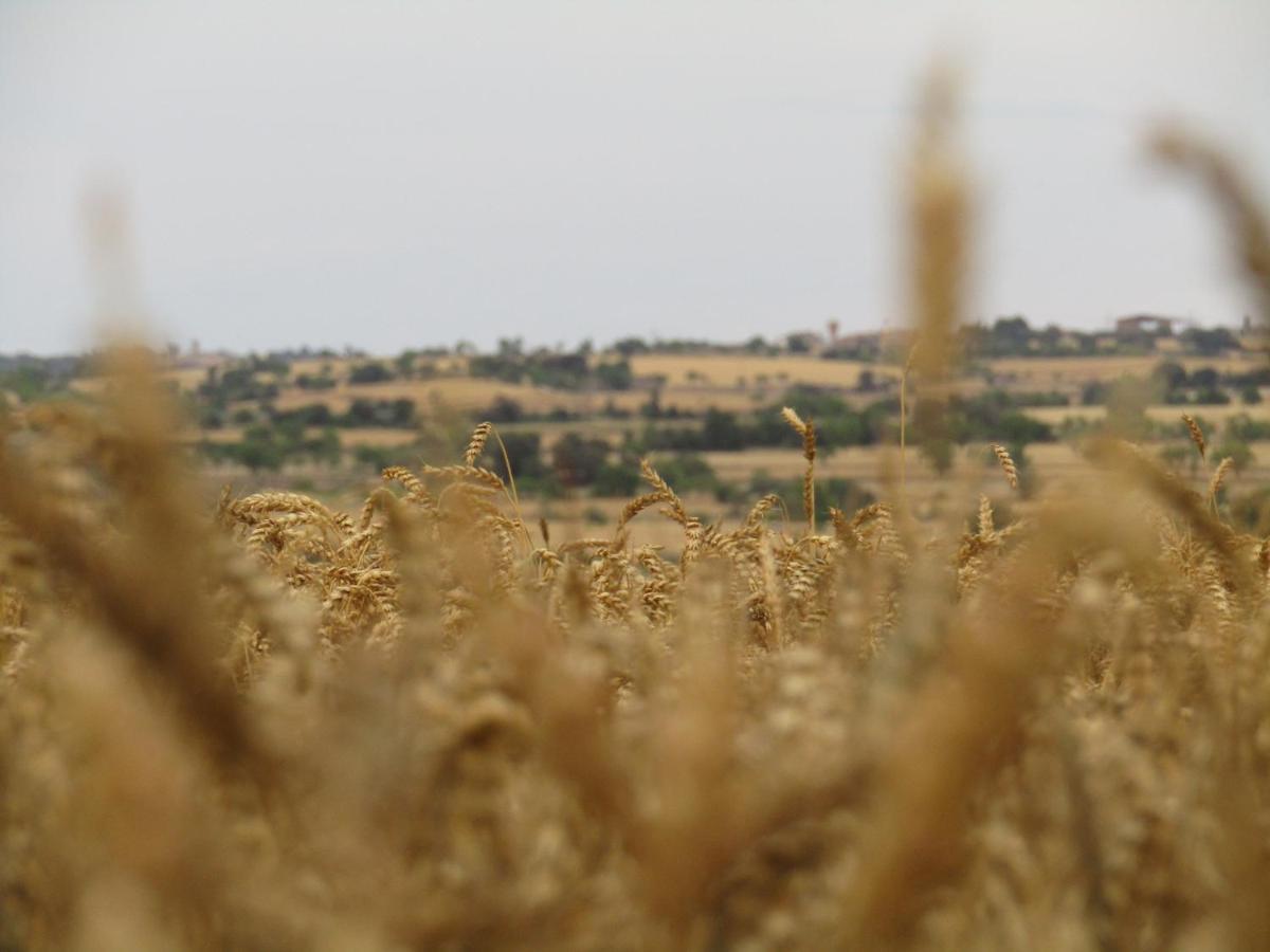 Cal Bello Casa Rural Lleida Dış mekan fotoğraf